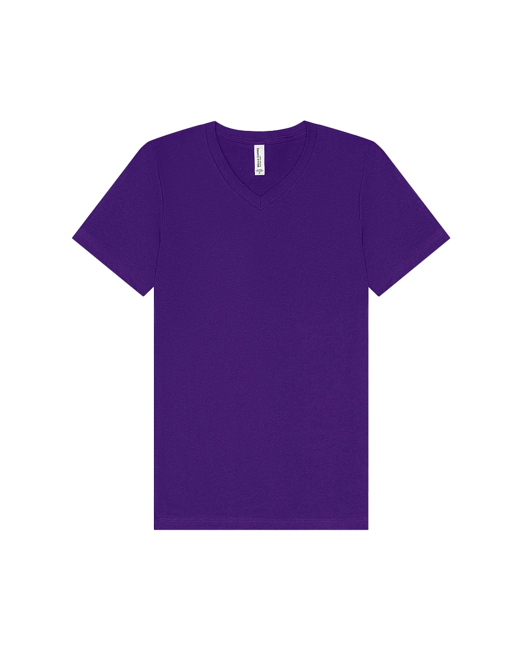 3005 Unisex Jersey Short-Sleeve V-Neck T-Shirt